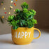 Artificial Plants - For your Planters